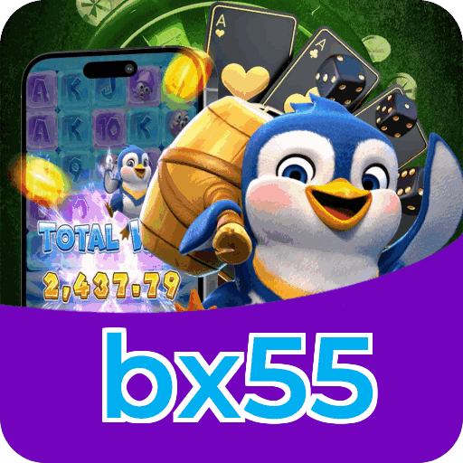 bx55 — instalação e tratamento de dados na plataforma